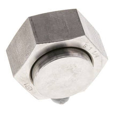 End Cap G1 1/4'' Stainless steel with External Hex 60° cone 150bar (2107.5psi) Hydraulic