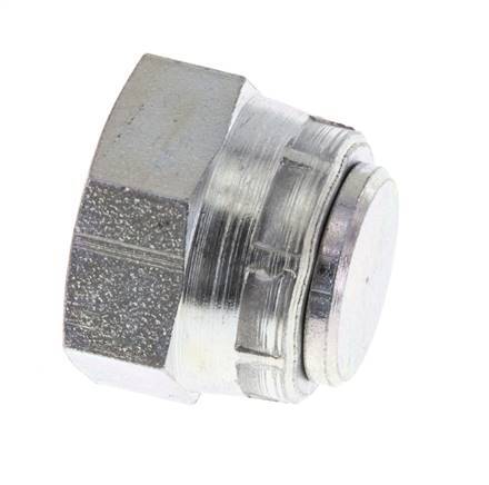 End Cap G3/8'' Steel with External Hex 60° cone 425bar (5971.25psi) Hydraulic [2 Pieces]