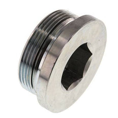 Tapón M48 X 2 Acero NBR con hexágono interior 250bar (3512.5psi)