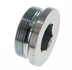 Tapón M48 X 2 Acero FKM con hexágono interior 250bar (3512.5psi)