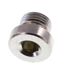 Plug M10 X 1 Steel NBR with Internal Hex 400bar (5620.0psi) [5 Pieces]