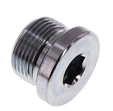 Plug M22 X 1.5 Steel FKM with Internal Hex 400bar (5620.0psi) [2 Pieces]