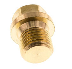 Plug G1/4'' Brass with Collar and External Hex 16bar (224.8psi) [5 Pieces]