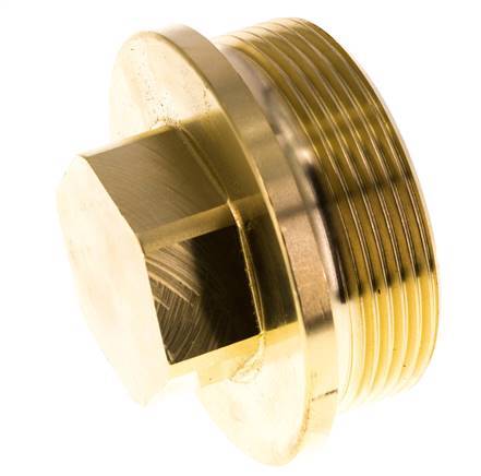Plug G2'' Brass with Collar and External Hex 16bar (224.8psi)