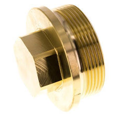 Plug G2'' Brass with Collar and External Hex 16bar (224.8psi)
