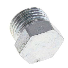 Tapón de cierre de acero galvanizado 12L para tubos de 315 barras DIN 2353 [2 piezas]