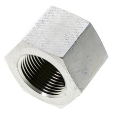 1'' NPT Zinc plated Steel Closing plug with Outer Hex 140 Bar