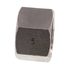 1'' NPT Stainless steel End cap 16 Bar