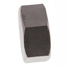 2'' NPT Tapa final de acero inoxidable 16 Bar