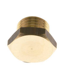 G 1/4'' Brass Closing plug with Outer Hex 16 Bar [5 Pieces]