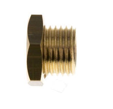 G 1/4'' Brass Closing plug with Outer Hex 16 Bar [5 Pieces]