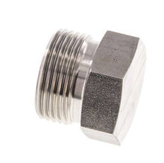 20S Stainless steel Closing Plug for Tubes 400 Bar DIN 2353