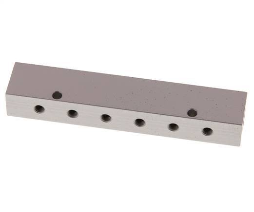2xG 1/8'' x 12xM5 Aluminium Distributor Block Double-sided 16 Bar