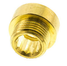 G 1/2'' F/M Brass Extension DIN 3523 - 10 mm [2 Pieces]