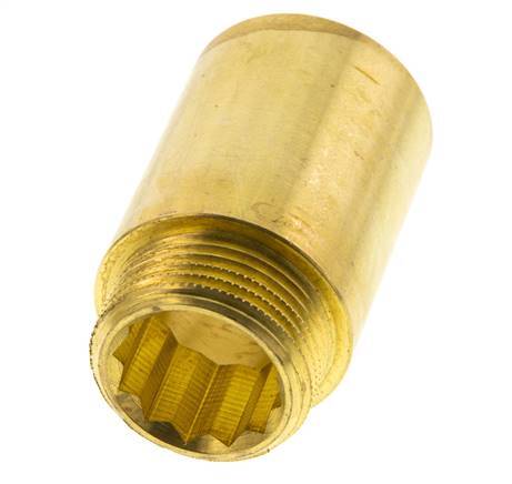 G 1'' F/M Extensión de latón DIN 3523 - 50 mm