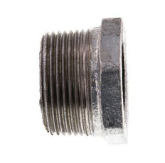 R 1 1/4'' x Rp 1'' M/F Zinc plated Cast iron Reducing Ring 25 Bar [2 Pieces]
