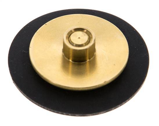 Replacement Diaphragm G1/4'' Water Pressure Reducers S-48RD