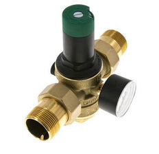 Reductor De Presión De Filtro Latón R1 1/4'' 99 L/Min 1.5-6 Bar/22-87Psi Agua Potable