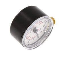 Manómetro de presión por debajo de acero / latón 50 mm Clase 1.6