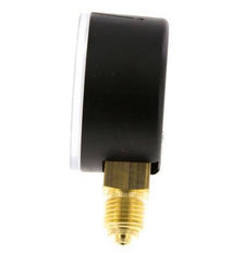 Manómetro de presión debajo de plástico / latón 50 mm Clase 2.5