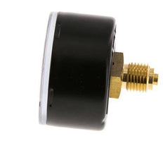 0..60 Bar (0..870 psi) Pressure Gauge Rear Steel/Brass 50 mm Class 1.6