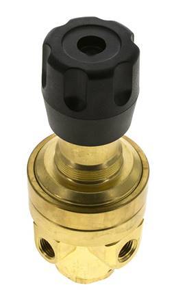 Pressure Regulator 1/4'' NPT 490 l/min 3.0-50.0bar/44-725psi Brass