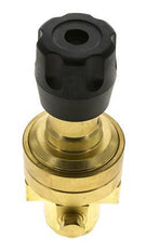 Pressure Regulator 1/4'' NPT 490 l/min 3.0-50.0bar/44-725psi Brass