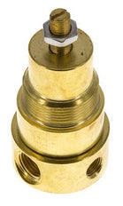 Pressure Regulator G1/4'' 330 l/min 0.1-1.5bar/1-22psi Brass Gases Liquids