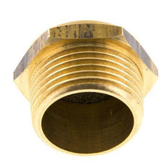 NPT 1'' Brass Compact Pneumatic Muffler 1.4301 Wire Mesh