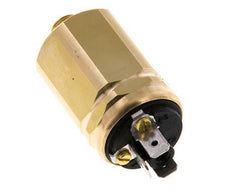 -0,98 a -0,2bar Interruptor de vacío SPDT de latón Conector plano G1/8'' 42VAC