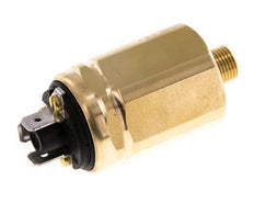 -0,98 a -0,2bar Interruptor de vacío SPDT de latón Conector plano G1/8'' 42VAC