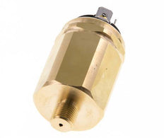 -0,98 a -0,2bar Interruptor de vacío SPDT de latón Conector plano G1/8'' 42VAC