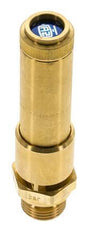 G 1/2'' Brass Pre-Set Safety Valve 12.2 bar (176.95 psi) DN 10
