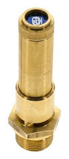 G Válvula de seguridad preajustada de latón de 3/4'' 19 bar (275,58 psi) DN 10