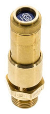 G 1/2'' Brass Pre-Set Safety Valve 4 bar (58.02 psi) DN 10