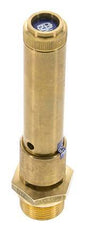 G Válvula de seguridad preajustada de latón de 3/4'' 44 bar (638.18 psi) DN 10
