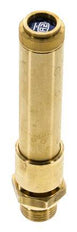 G 1/2'' Brass Pre-Set Safety Valve 50 bar (725.2 psi) DN 10