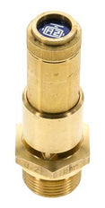 G 3/4'' Brass Pre-Set Safety Valve 6.9 bar (100.08 psi) DN 10