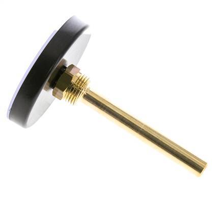 0 to +60°C Plastic Bimetallic Thermometer 80mm Cabinet 100mm Stem with Thermowell