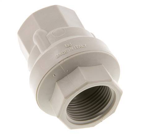 G 1'' Válvula Antirretorno De Polipropileno 0.02-6 Bar (0.29-87 Psi)