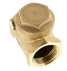 G 1'' Latón Válvula Antirretorno De Clapeta 12 Bar (174 Psi) Sello Metálico