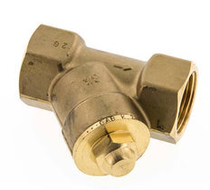 Rp 3/4'' Latón Válvula De Retención Tipo Y 10 Bar (145 Psi) NBR