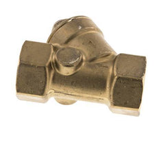Rp 1'' Brass Y Check Valve 10 bar (145 psi) FKM