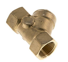 Rp 1'' Brass Y Check Valve 10 bar (145 psi) FKM