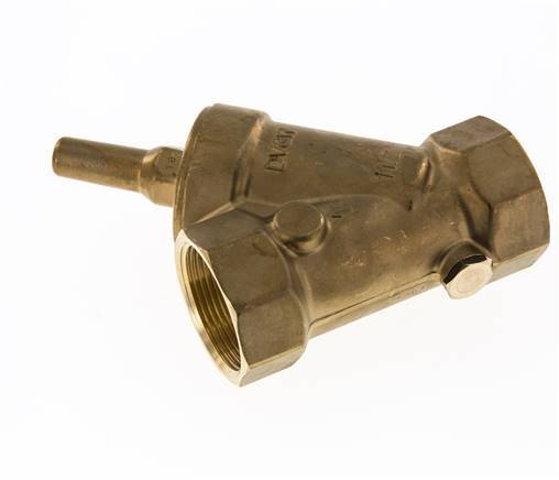Rp 2'' Brass Y Check Valve 10 bar (145 psi) FKM