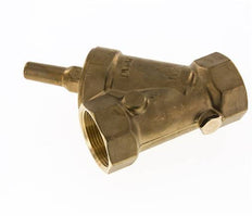 Rp 2'' Brass Y Check Valve 10 bar (145 psi) FKM