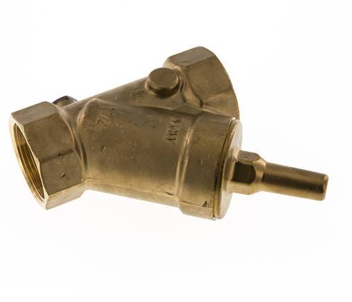 Rp 2'' Brass Y Check Valve 10 bar (145 psi) FKM